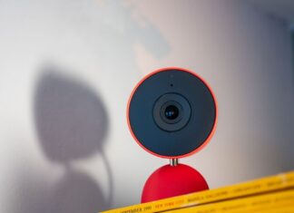 Близнюки Google Home постійно приймають мою собаку за кішку