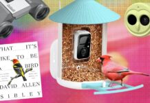 Der ultimative Geschenkführer für Vogelliebhaber (2025)