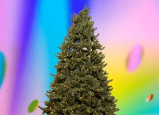 Черная Пятница 2025: Лучшие предложения на елки и умные гирлянды