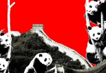 Подъём «По-Китайски Времен»: Почему Запад Одержим Китаем