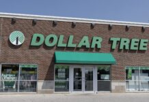 Доступні весняні радості: 5 бюджетних знахідок у Dollar Tree для людей похилого віку