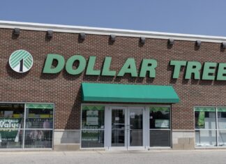 Indulgensi Musim Semi yang Terjangkau: 5 Temuan Ramah Anggaran untuk Lansia di Dollar Tree