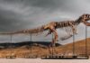 Lo strano, il vasto e il perduto: una carrellata