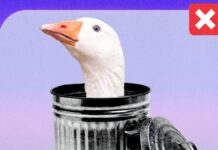 Problém s kachnami 🦢