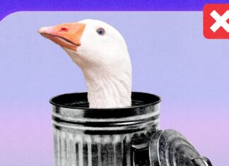 Het ganzenprobleem